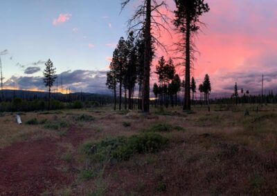 pink sky view at Camp Sherman
