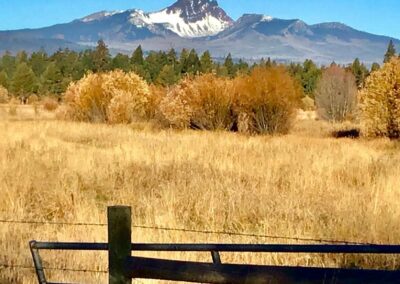 view of the Cascades mountain