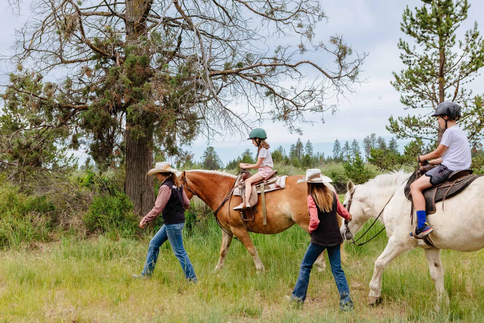 Top 5 Tours to Take in Sunriver, Oregon