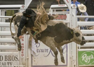 cowboy wearing a black shirt and hat is riding a bull