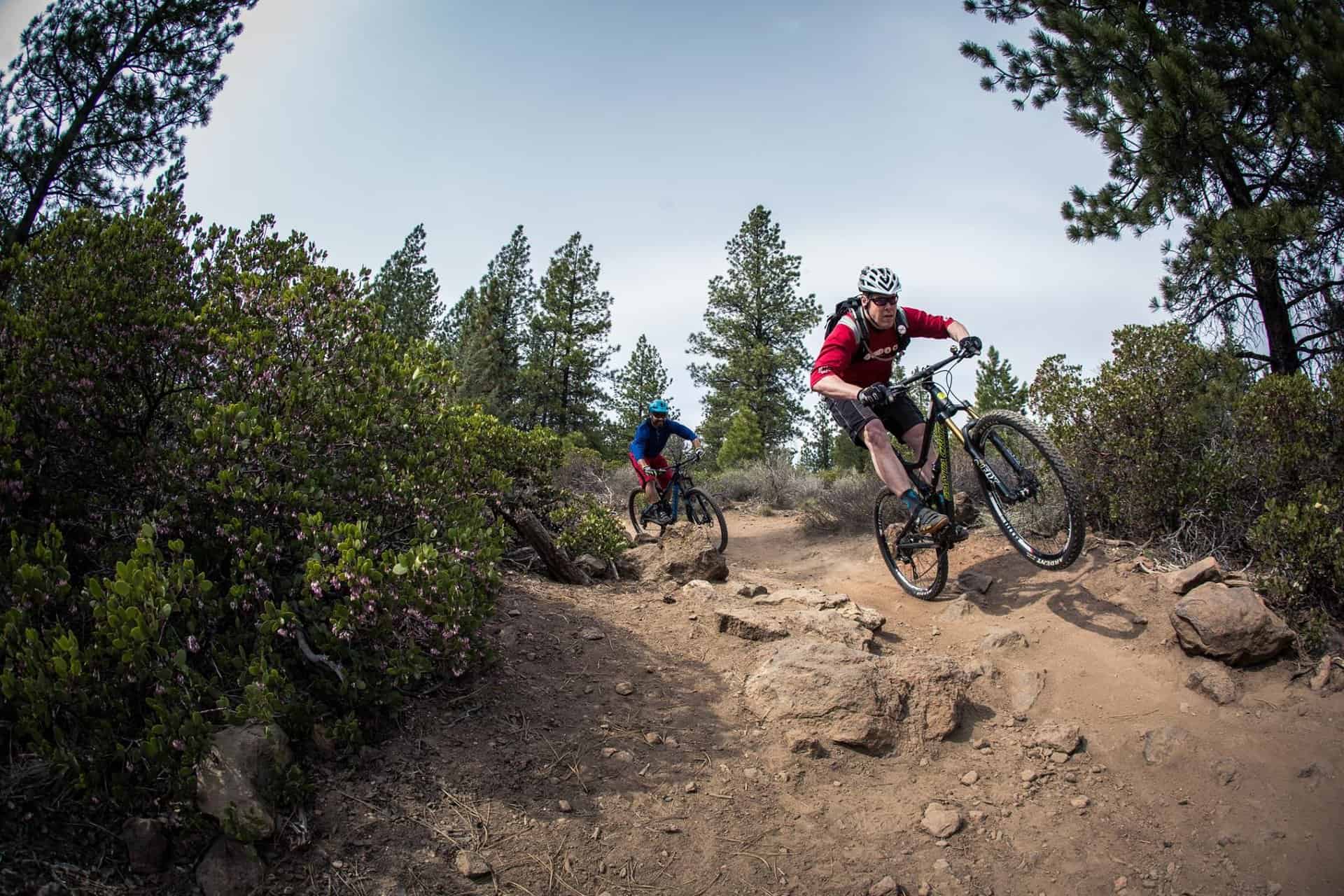 Cog Wild bike tours Cog Wild bike tours