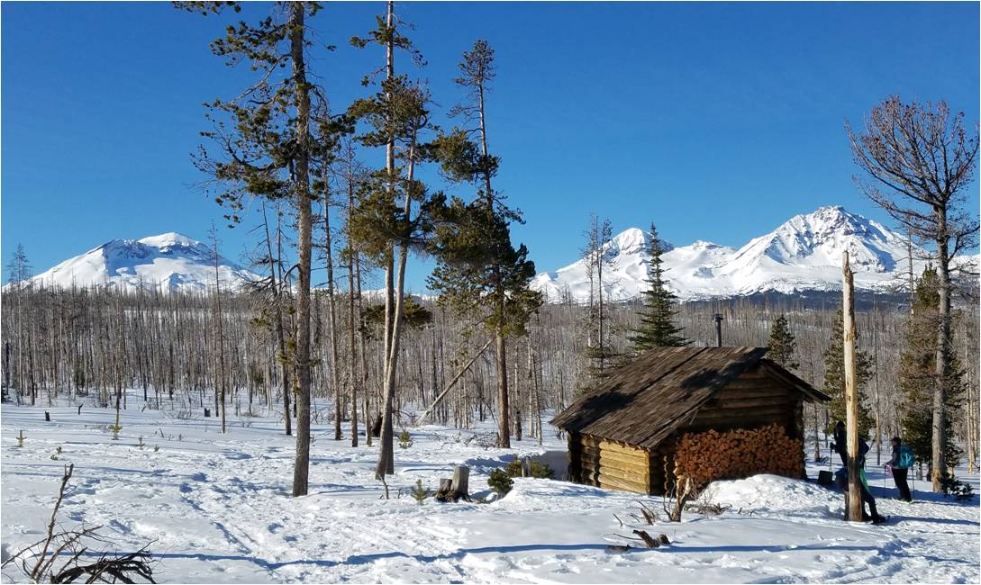  Jeff View Shelter via Peak View Trail. Photo Credit: Bob Timmer