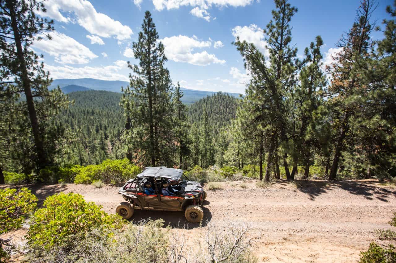 a family off-roading in ATVs in the remote part of Deschutes National Forest a family off-roading in ATVs in the remote part of Deschutes National Forest