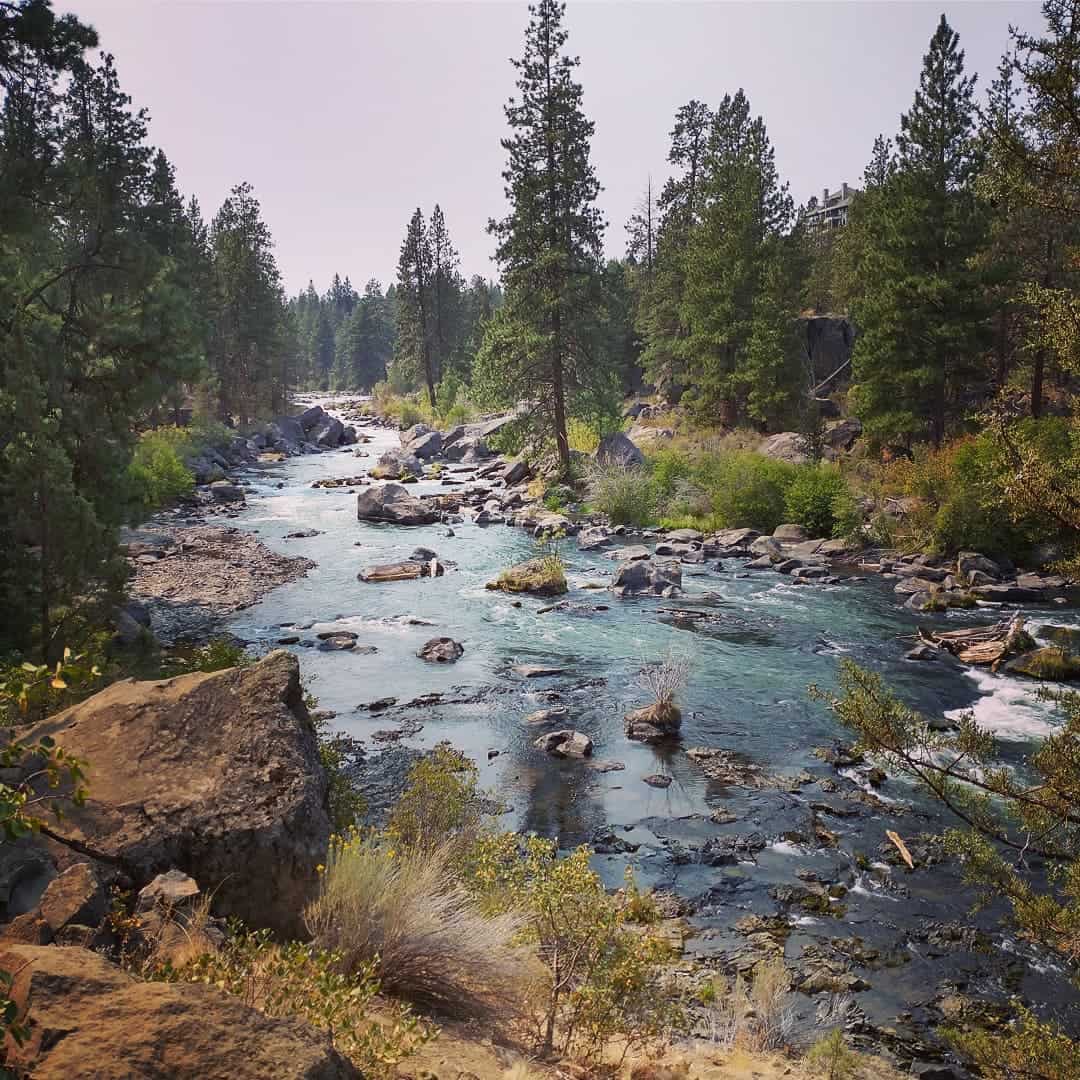 View of the Deschutes River from the River Trail in Bend, Oregon. View of the Deschutes River from the River Trail in Bend, Oregon.