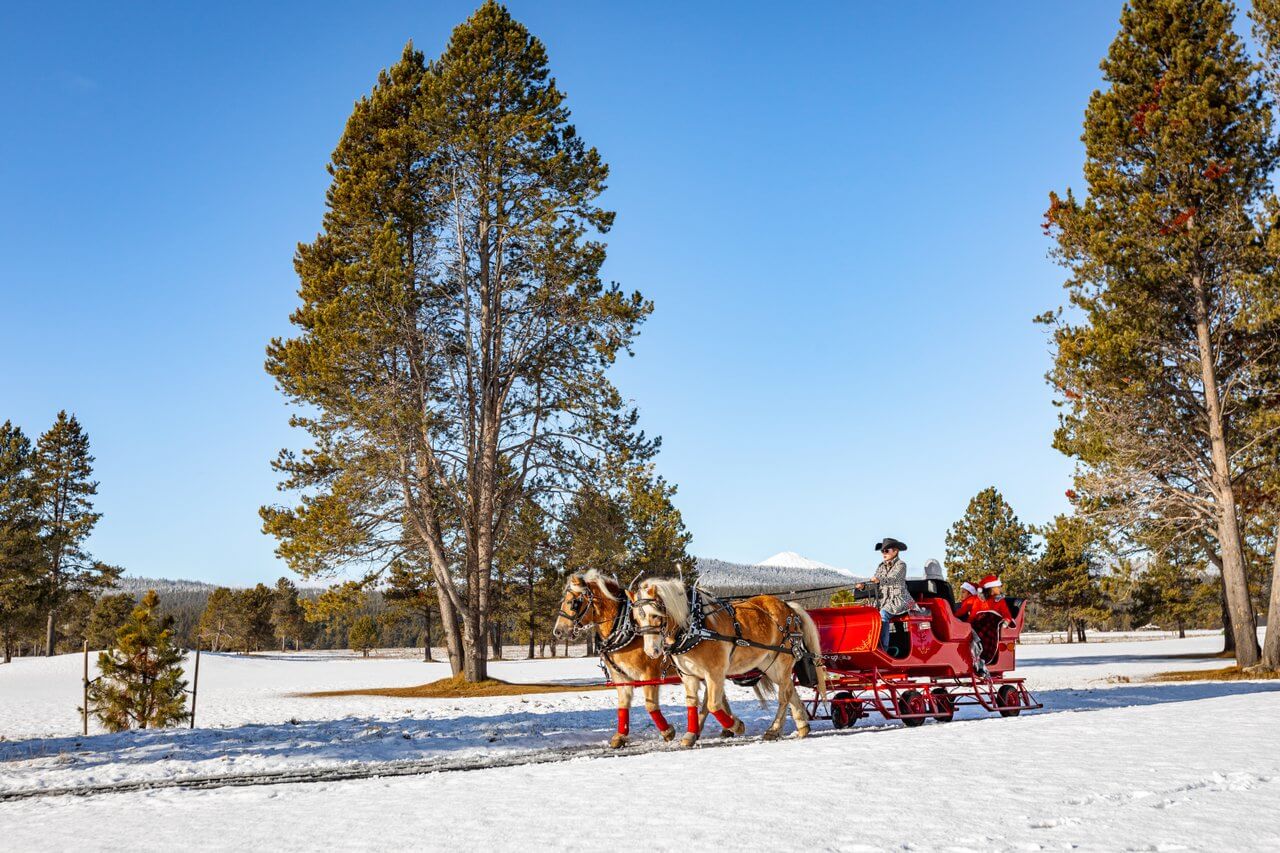 Horse-drawn sleigh rides in Sunriver, Oregon Horse-drawn sleigh rides in Sunriver, Oregon